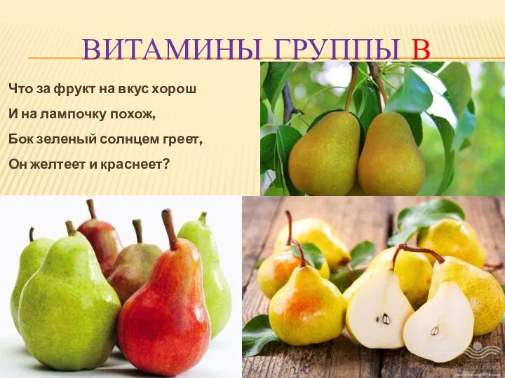 ВИТАМИНЫ ГРУППЫ В Что за фрукт на вкус хорош И на лампочку