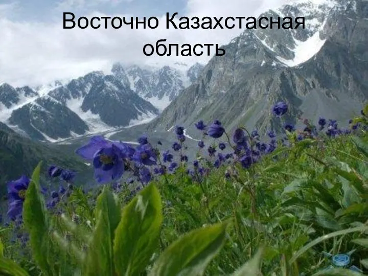 Восточно Казахстасная область