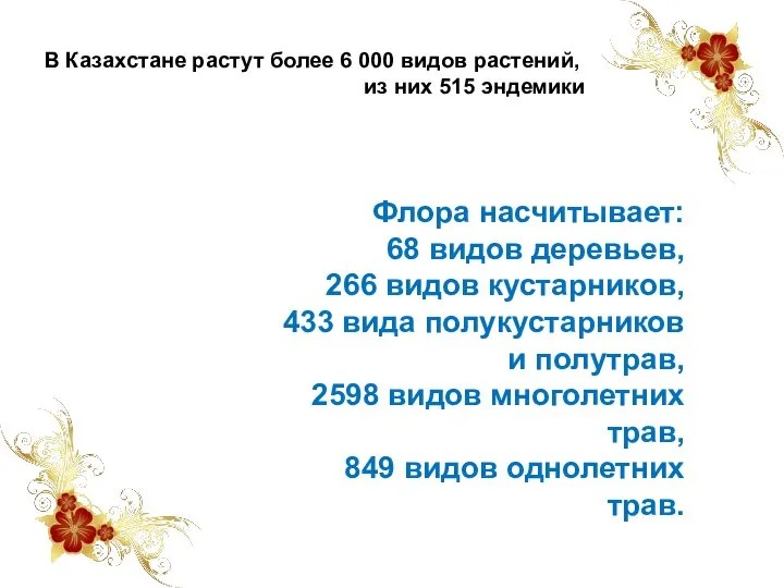 В Казахстане растут более 6 000 видов растений, из них 515 эндемики