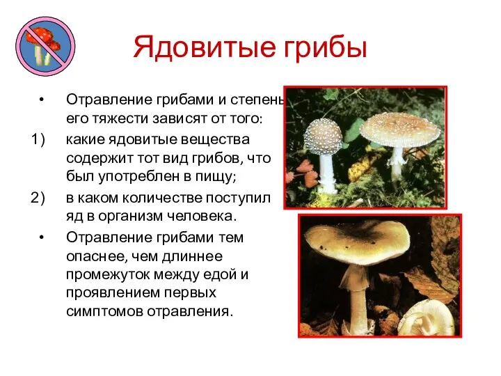 Ядовитые грибы Отравление грибами и степень его тяжести зависят от того: какие