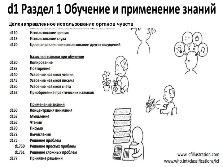 Целенаправленное использование органов чувств