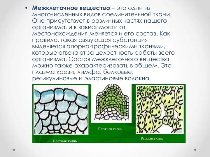 Межклеточное вещество – это один из многочисленных видов соединительной ткани. Оно присутствует