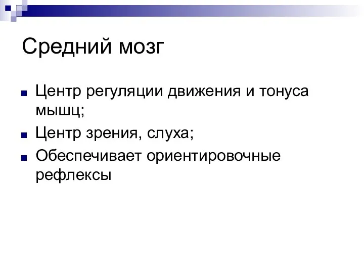 Средний мозг Центр регуляции движения и тонуса мышц; Центр зрения, слуха; Обеспечивает ориентировочные рефлексы