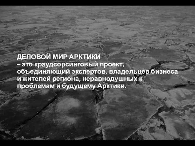 ДЕЛОВОЙ МИР АРКТИКИ – это краудсорсинговый проект, объединяющий экспертов, владельцев бизнеса и