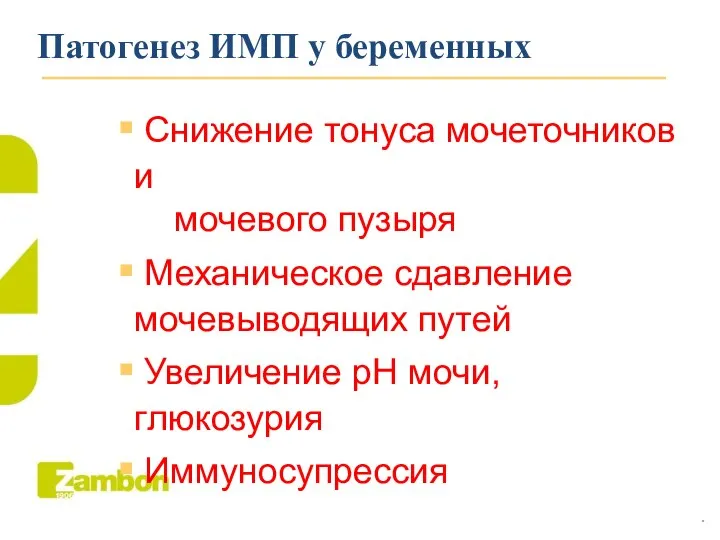 Патогенез ИМП у беременных Снижение тонуса мочеточников и мочевого пузыря Механическое сдавление