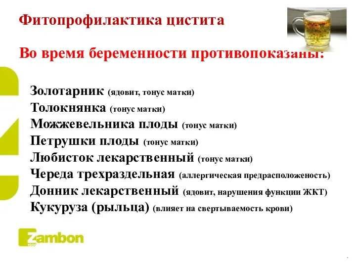 Фитопрофилактика цистита Во время беременности противопоказаны: Золотарник (ядовит, тонус матки) Толокнянка (тонус