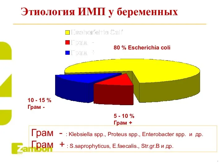 Этиология ИМП у беременных Грам - : Klebsiella spp., Proteus spp., Enterobacter