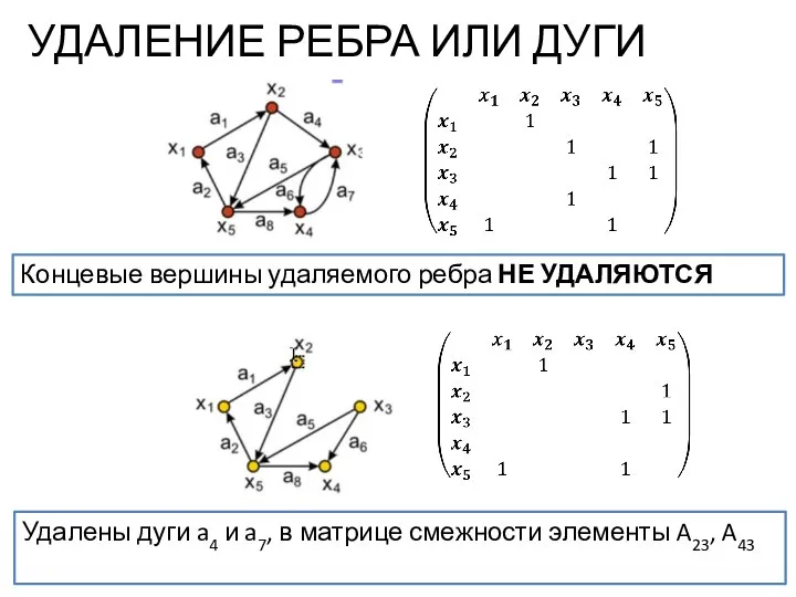 УДАЛЕНИЕ РЕБРА ИЛИ ДУГИ Концевые вершины удаляемого ребра НЕ УДАЛЯЮТСЯ Удалены дуги