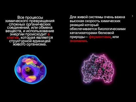 Все процессы химического превращения сложных органических соединений, или обмена веществ, и использование