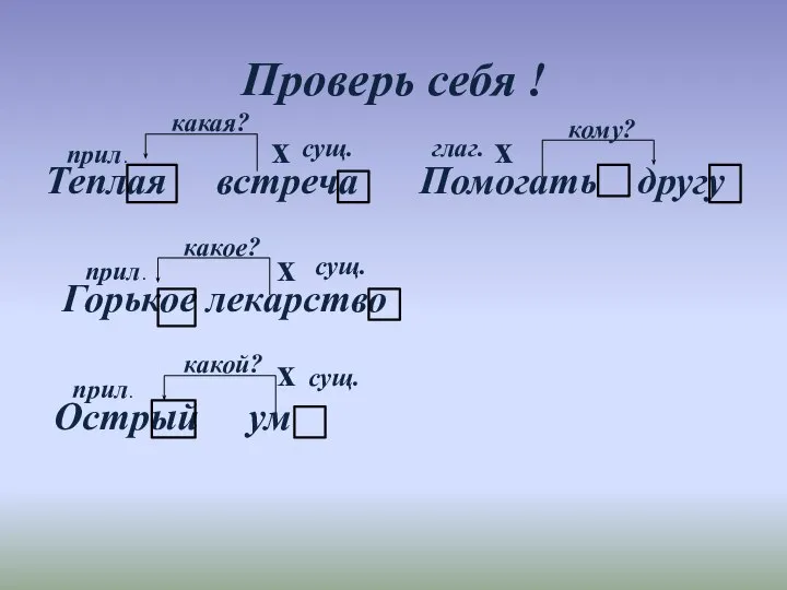 Проверь себя ! Теплая встреча Горькое лекарство Острый ум какая? какое? какой?