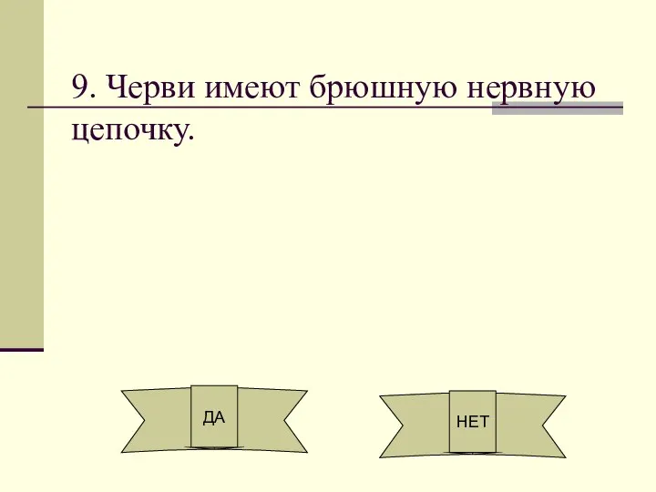 9. Черви имеют брюшную нервную цепочку. ДА НЕТ