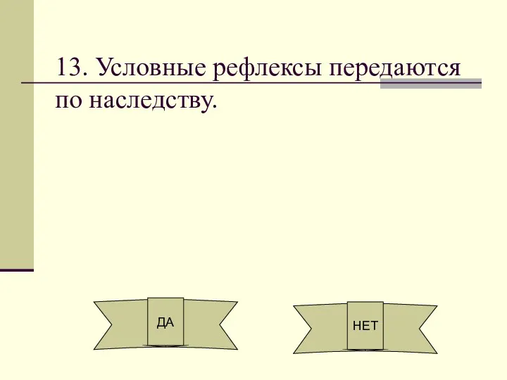 13. Условные рефлексы передаются по наследству. ДА НЕТ