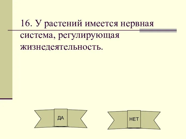 16. У растений имеется нервная система, регулирующая жизнедеятельность. ДА НЕТ