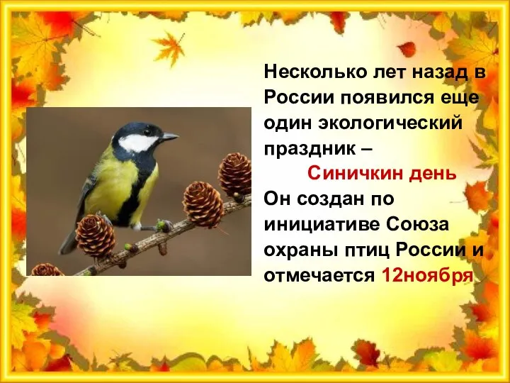 Несколько лет назад в России появился еще один экологический праздник – Синичкин