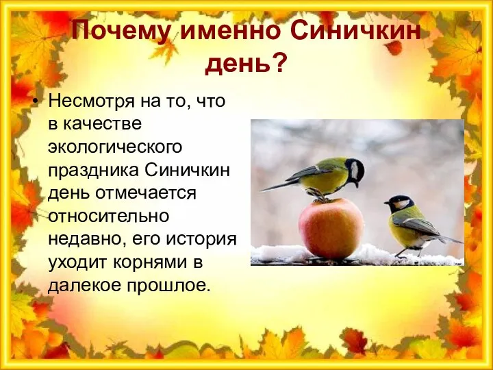 Почему именно Синичкин день? Несмотря на то, что в качестве экологического праздника