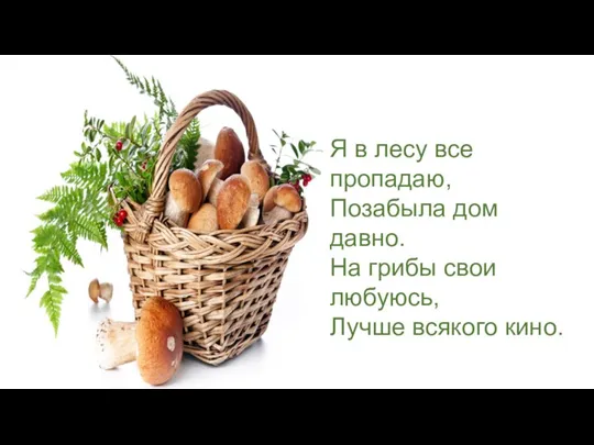 Я в лесу все пропадаю, Позабыла дом давно. На грибы свои любуюсь, Лучше всякого кино.