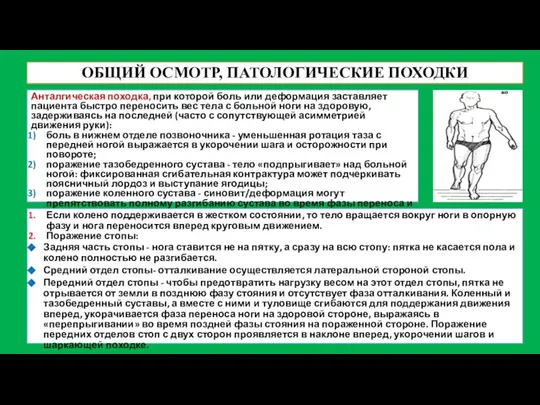 ОБЩИЙ ОСМОТР, ПАТОЛОГИЧЕСКИЕ ПОХОДКИ Анталгическая походка, при которой боль или деформация заставляет