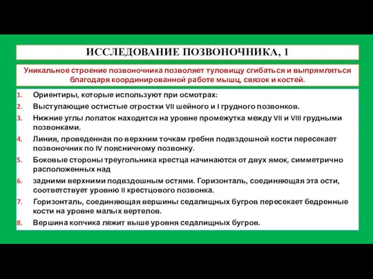 ИССЛЕДОВАНИЕ ПОЗВОНОЧНИКА, 1 Уникальное строение позвоночника позволяет туловищу сгибаться и выпрямляться благодаря