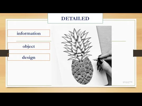 SVEC™ DETAILED information object design