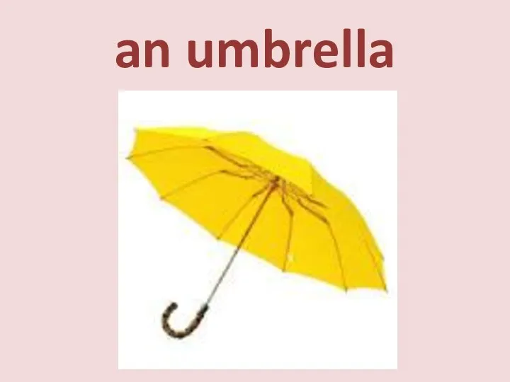 an umbrella