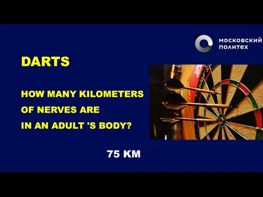 DARTS HOW MANY KILOMETERS OF NERVES ARE IN AN ADULT 'S BODY? 75 KM