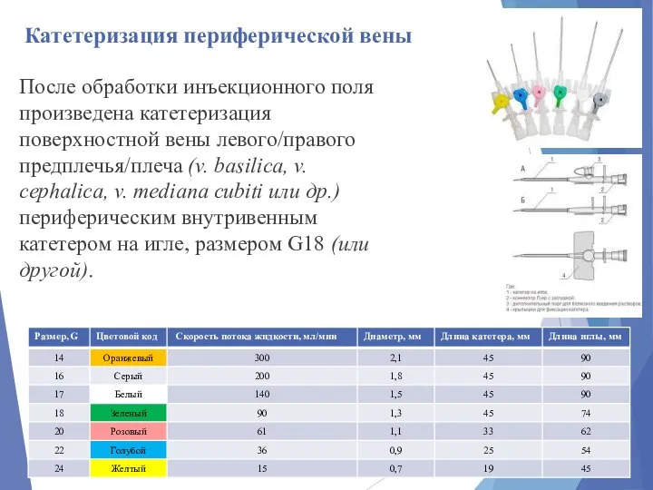 Катетеризация периферической вены После обработки инъекционного поля произведена катетеризация поверхностной вены левого/правого