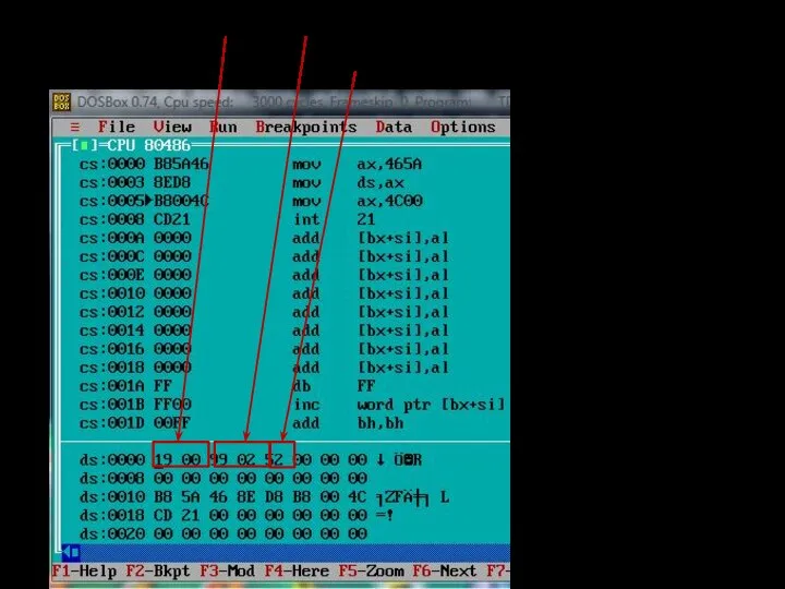 Целые числа 19(16) и 229(16) и в 8-разрядном процессоре дробное 0,A4(16)