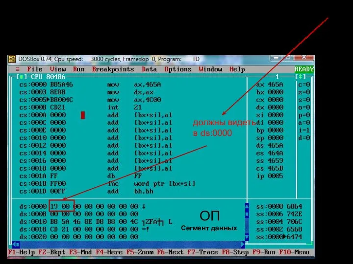 Должно быть в 16-разрядном процессоре по адресу ds:0000 целое число =0019(16) ОП