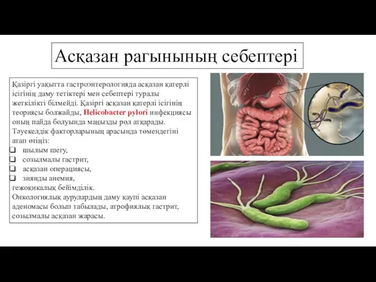 Асқазан рагынының себептері Қазіргі уақытта гастроэнтерологияда асқазан қатерлі ісігінің даму тетіктері мен