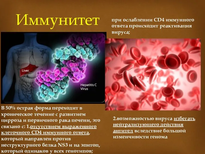 Иммунитет В 50% острая форма переходит в хроническое течение с развитием цирроза