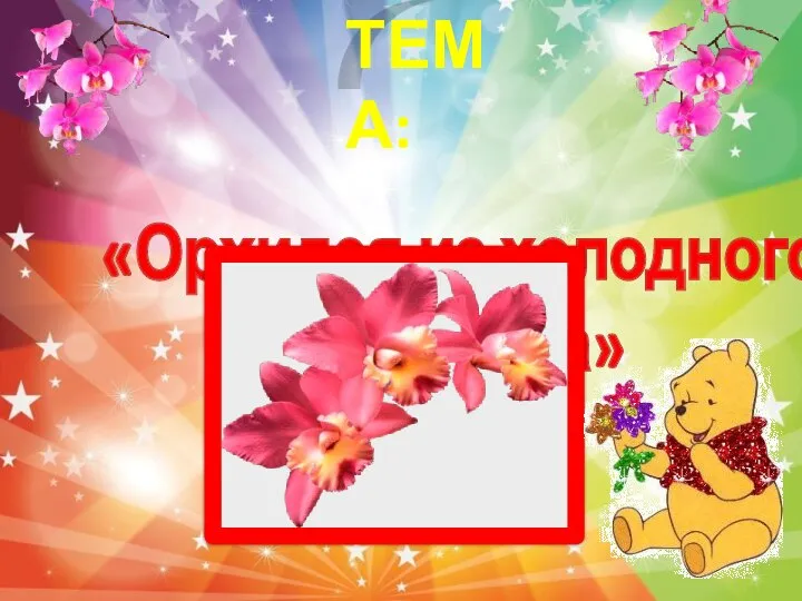 «Орхидея из холодного фарфора» ТЕМА: