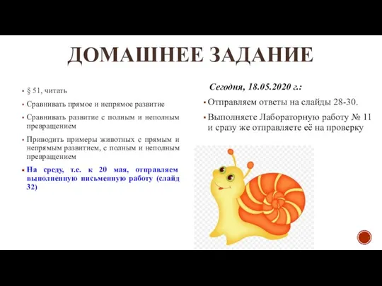 ДОМАШНЕЕ ЗАДАНИЕ § 51, читать Сравнивать прямое и непрямое развитие Сравнивать развитие