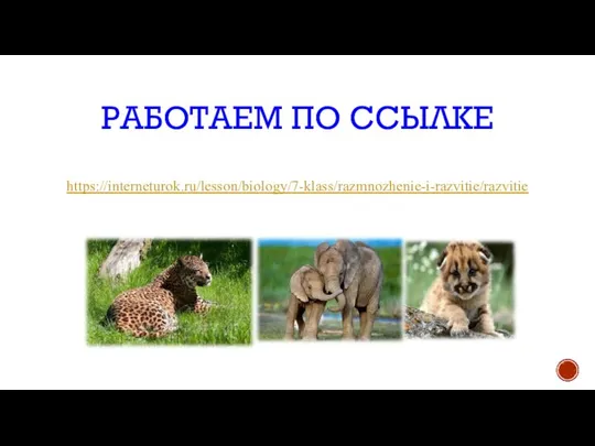 https://interneturok.ru/lesson/biology/7-klass/razmnozhenie-i-razvitie/razvitie РАБОТАЕМ ПО ССЫЛКЕ