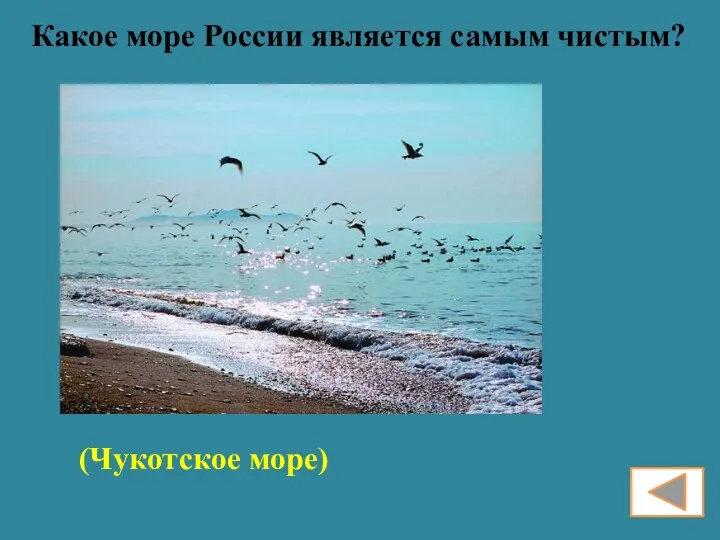 Какое море России является самым чистым? (Чукотское море)