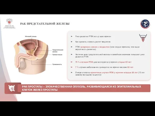 РАК ПРЕДСТАТЕЛЬНОЙ ЖЕЛЕЗЫ Риск развития РПЖ есть у всех мужчин Как правило,