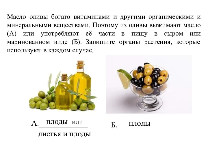 Масло оливы богато витаминами и другими органическими и минеральными веществами. Поэтому из