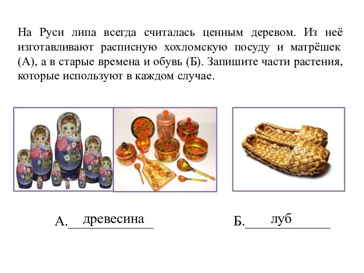 На Руси липа всегда считалась ценным деревом. Из неё изготавливают расписную хохломскую