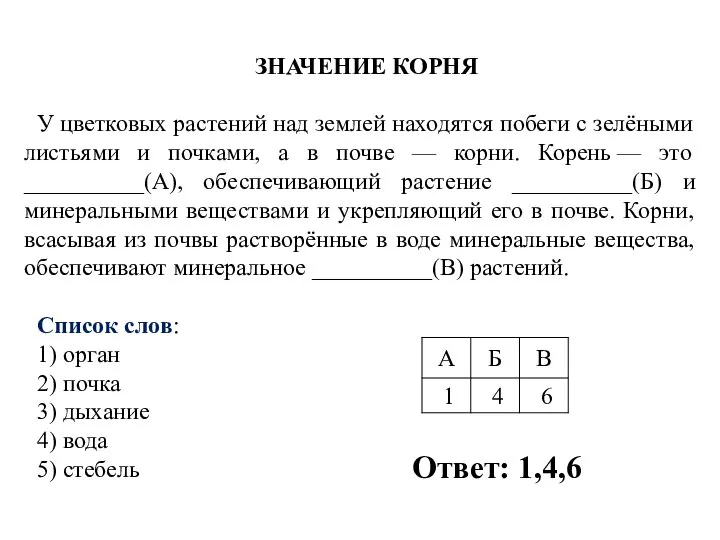 ЗНАЧЕНИЕ КОРНЯ У цветковых растений над землей находятся побеги с зелёными листьями