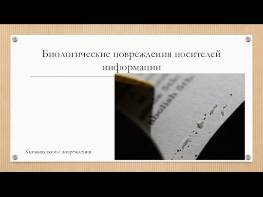 Биологические повреждения носителей информации Книжная вошь: повреждения