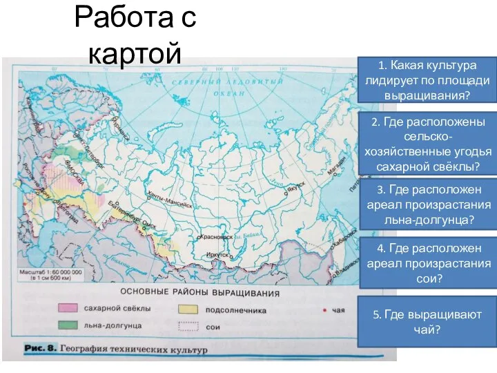 Работа с картой 1. Какая культура лидирует по площади выращивания? 2. Где