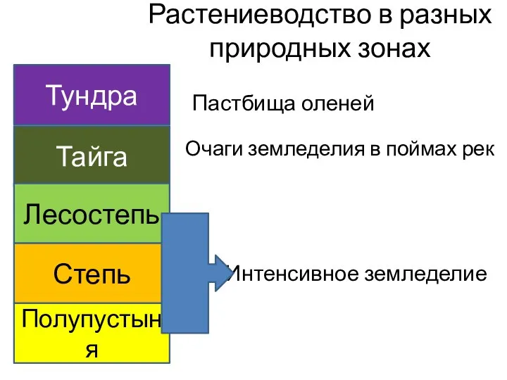 Растениеводство в разных природных зонах Тундра Тайга Лесостепь Степь Полупустыня Пастбища оленей