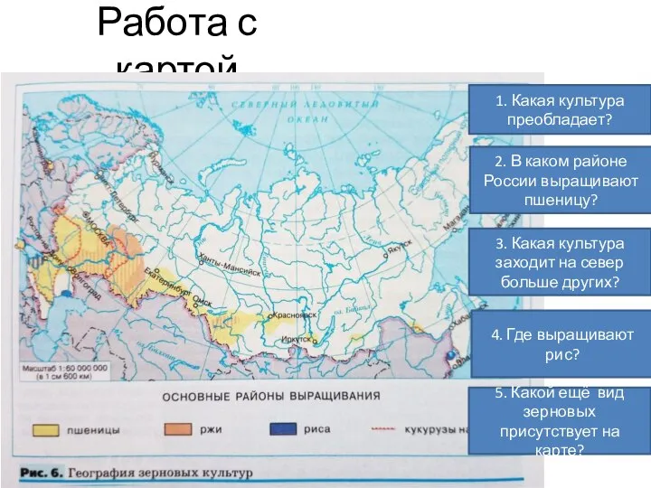 Работа с картой 1. Какая культура преобладает? 2. В каком районе России