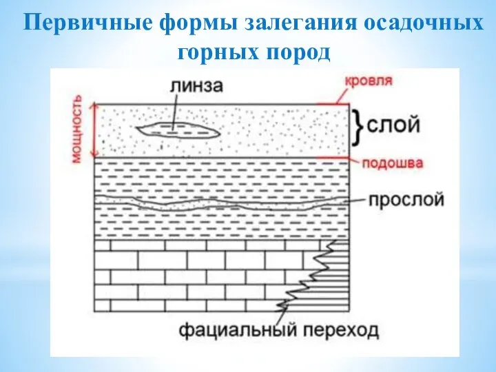 Первичные формы залегания осадочных горных пород