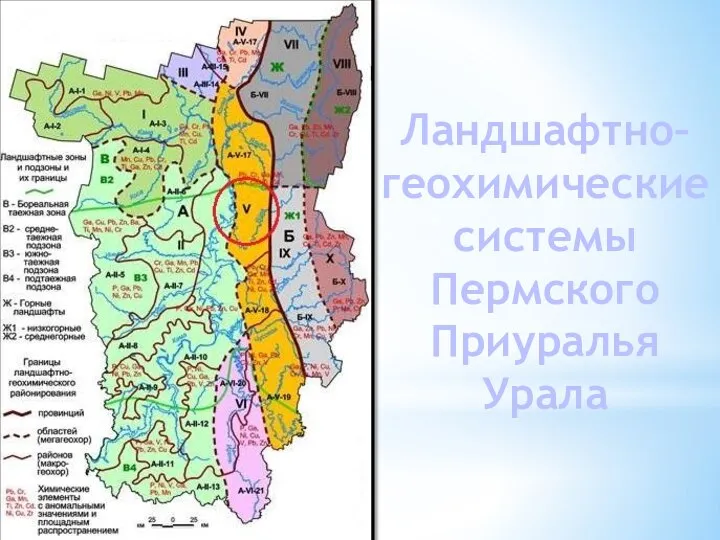 Ландшафтно–геохимические системы Пермского Приуралья Урала
