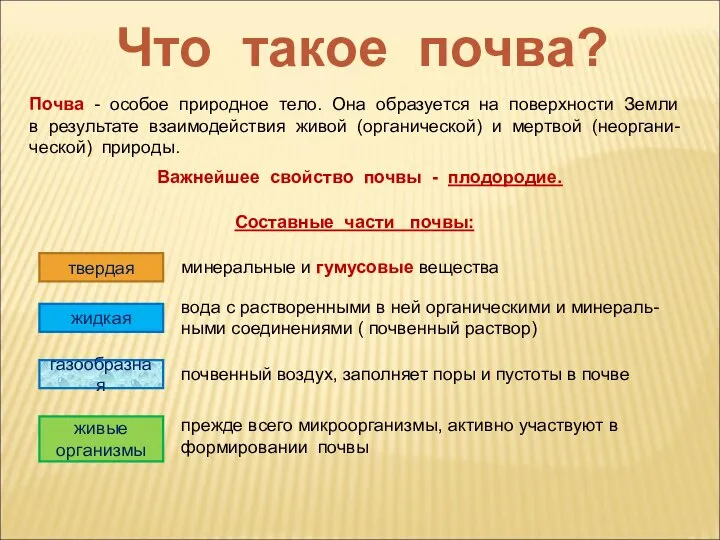 Что такое почва? Почва - особое природное тело. Она образуется на поверхности