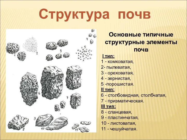 Основные типичные структурные элементы почв I тип: 1 - комковатая, 2- пылеватая,