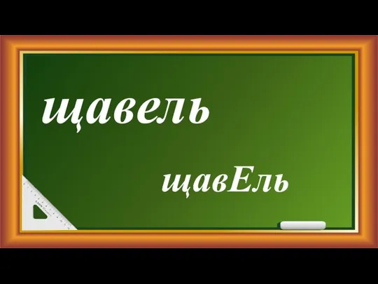 щавель щавЕль