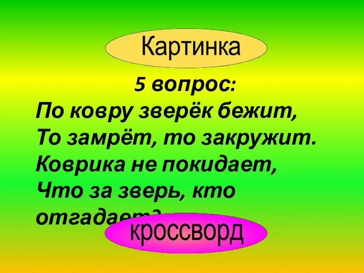 5 вопрос: По ковру зверёк бежит, То замрёт, то закружит. Коврика не