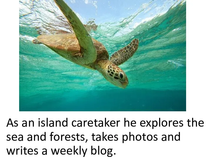 As an island caretaker he explores the sea and forests, takes photos