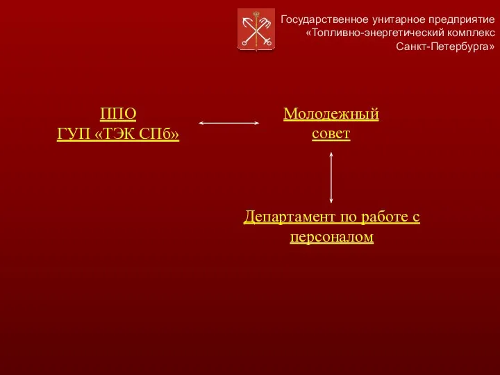 Государственное унитарное предприятие «Топливно-энергетический комплекс Санкт-Петербурга» ППО ГУП «ТЭК СПб» Молодежный совет